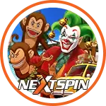 NEXTSPIN